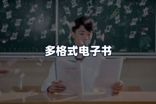 多格式电子书